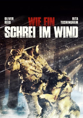 Wie ein Schrei im Wind