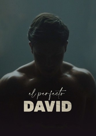 El perfecto David