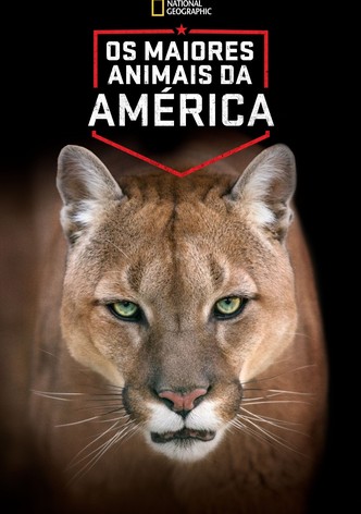 America's Greatest Animals