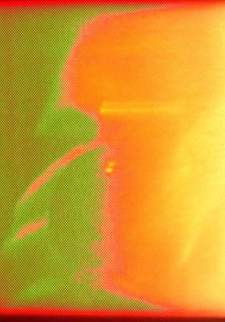 Dear Mrs Ougi Chikage