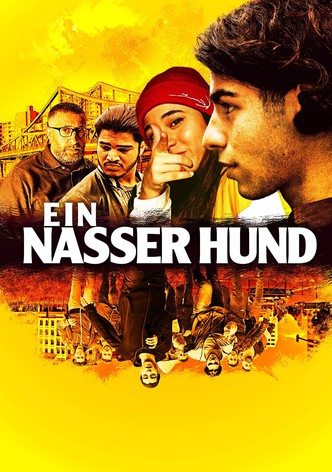 Ein nasser Hund