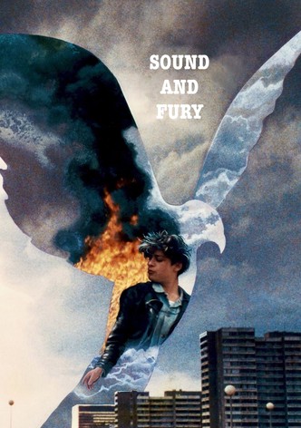 Ruido y furia