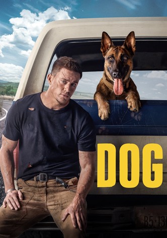 A Dog s Purpose movie watch streaming online