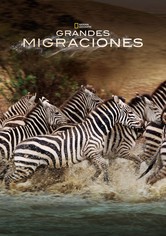 Grandes Migraciones