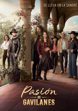 Sin senos sí hay paraíso Season 1 - episodes streaming online