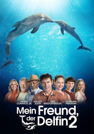 Mein Freund, der Delfin 2
