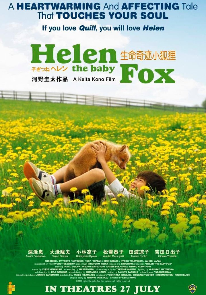Helen the Baby Fox