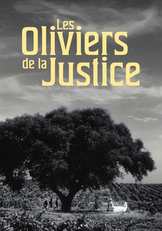 Les Oliviers de la justice