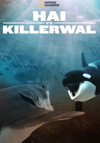 Hai vs. Killerwal