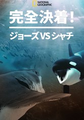 Orca vs. Great White