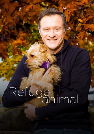 Animal Shelter