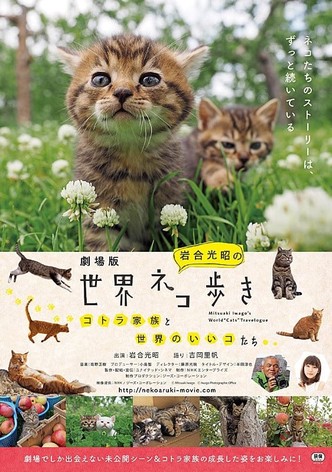 劇場版　岩合光昭の世界ネコ歩き　コトラ家族と世界のいいコたち