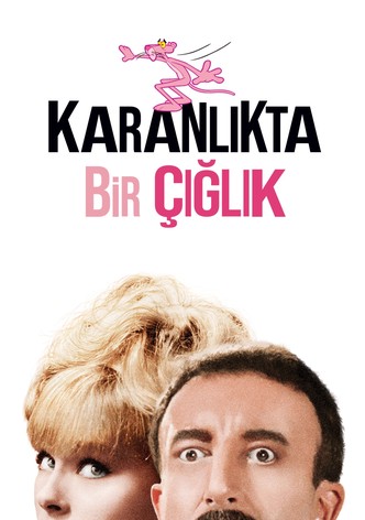 Karanlıkta Bir Çığlık