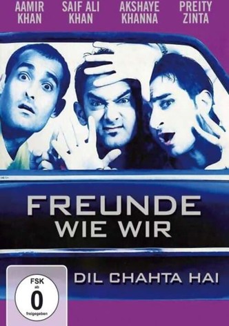 Dil Chahta Hai – Freunde wie wir