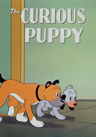 The Curious Puppy