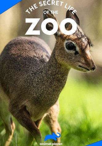 life at the zoo series 10