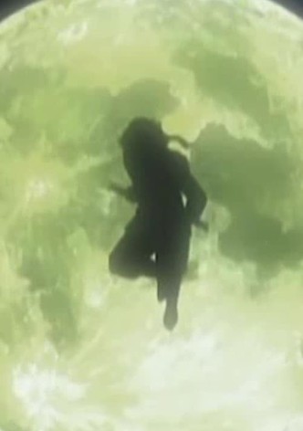 Shinshaku Sengoku Eiyuu Densetsu Sanada Juu Yuushi The Animation