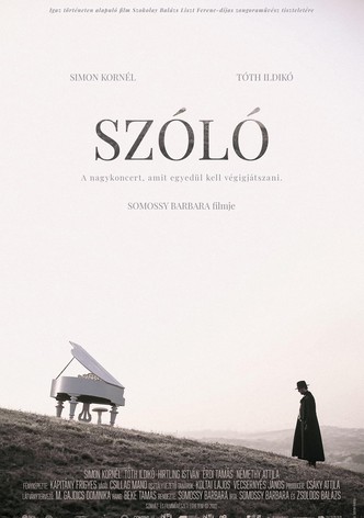 Szóló
