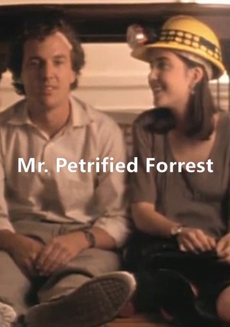 Mr. Petrified Forrest