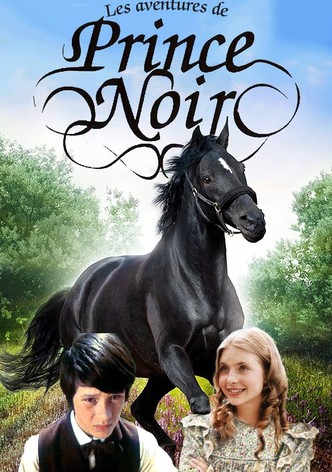 Les Aventures de Prince Noir