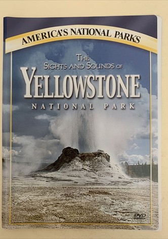 The Sights and Sounds of Yellowstone National Park