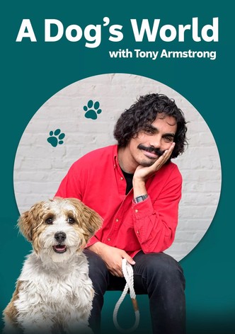 A Dog's World with Tony Armstrong