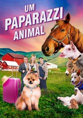 Um Paparazzi Animal