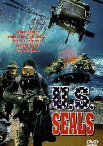 U.S. SEALS - mission destruction