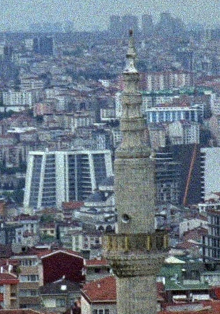 Belgrade Forest Incident …and What Happened to Mr. K?