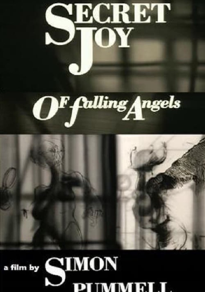 Secret Joy of Falling Angels