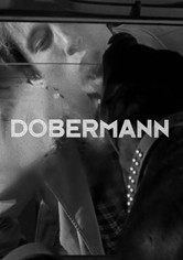 Dobermann