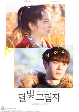 달빛 그림자