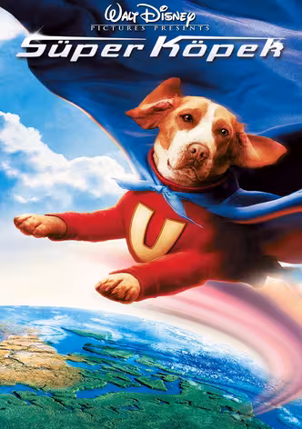 Süper Köpek afişi