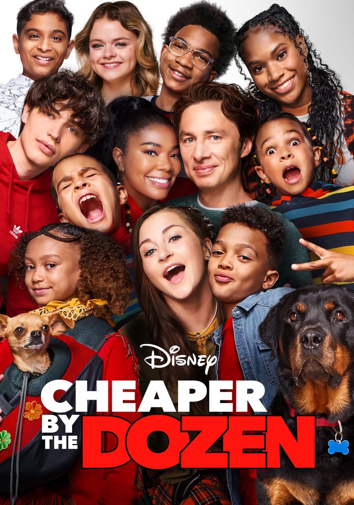 Cheaper by the Dozen streaming: where to watch online?