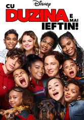 Cu duzina e mai ieftin