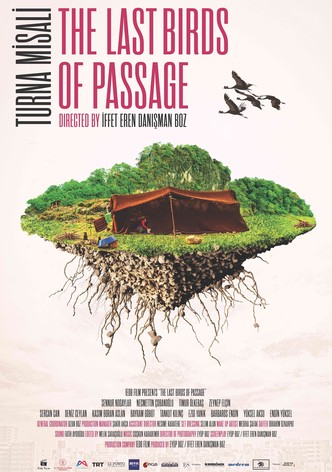 The Last Birds of Passage