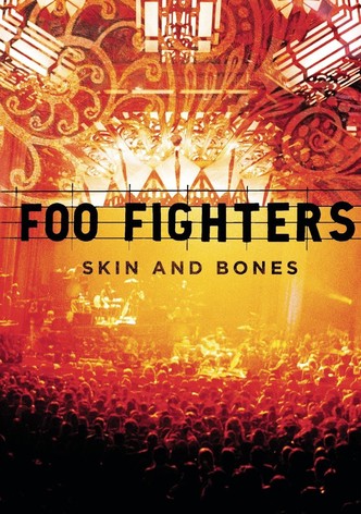 Foo Fighters - Skin and Bones