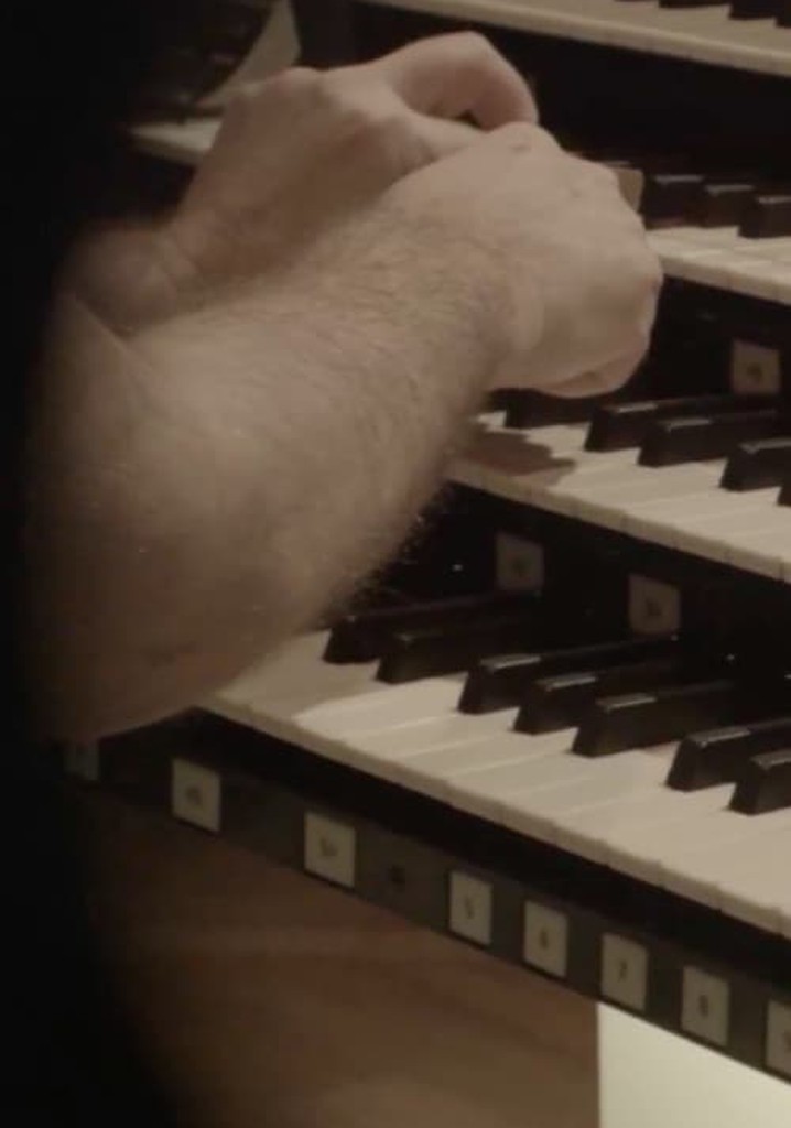 Zorn II (2016 - 2018)