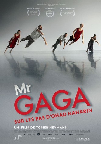 Mr Gaga