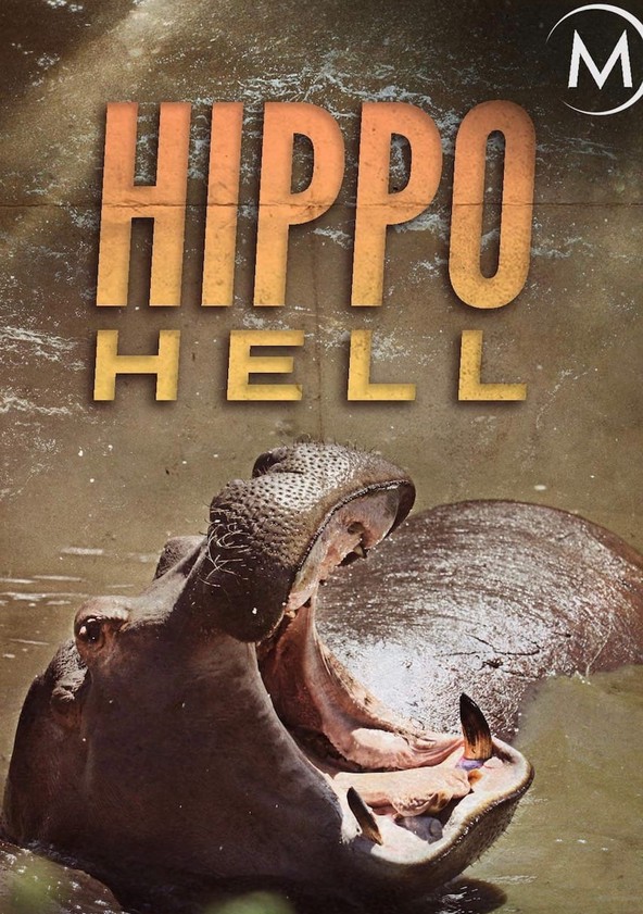 Hippopotamus full movie discount online