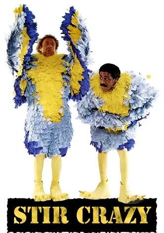 Stir Crazy poster