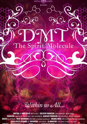 DMT : The Spirit Molecule