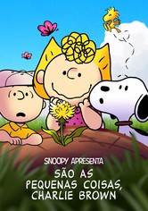 Snoopy Apresenta: São as Pequenas Coisas, Charlie Brown