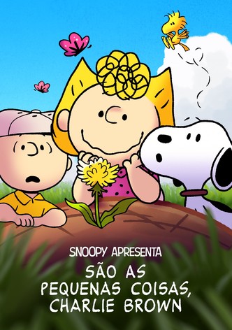 Snoopy Apresenta: São as Pequenas Coisas, Charlie Brown