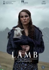 Lamb