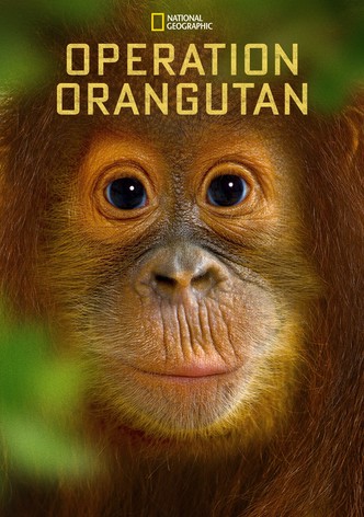 Operation Orangutan