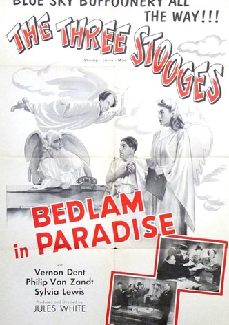 Bedlam in Paradise
