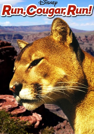 Run, Cougar, Run