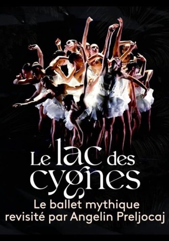 Le lac des cygnes au théâtre national de Chaillot