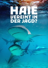 Haie - Vereint in der Jagd?